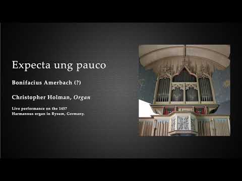 Bonifacius Amerbach: Expecta ung pauco