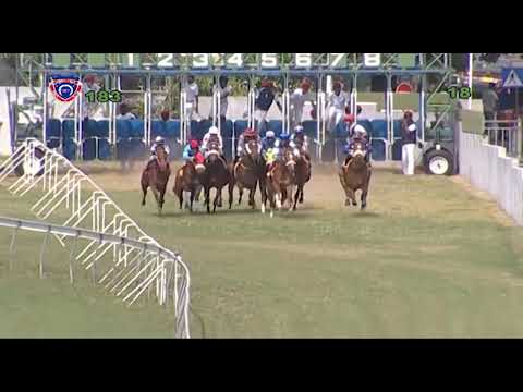 RM18 R3 - Trap Lord | M.R.Hoolash