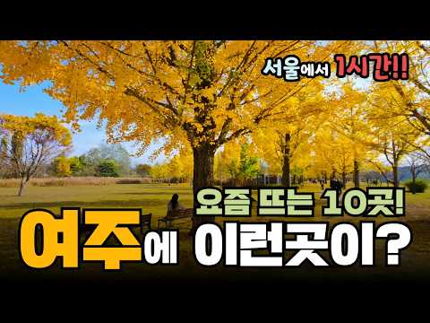 여주에 이런곳이? 서울에서 1시간! 완벽한 힐링여행지 여주 필수여행지 10곳 #여주여행 #여주오곡축제
