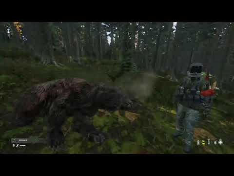 Bears and Wolves in DayZ - DJ Armok (Devilish Trio)