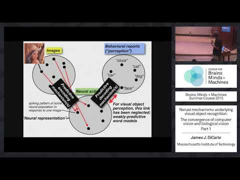 Lecture 1.3: James DiCarlo - Neural Mechanisms of Recognition Part 1