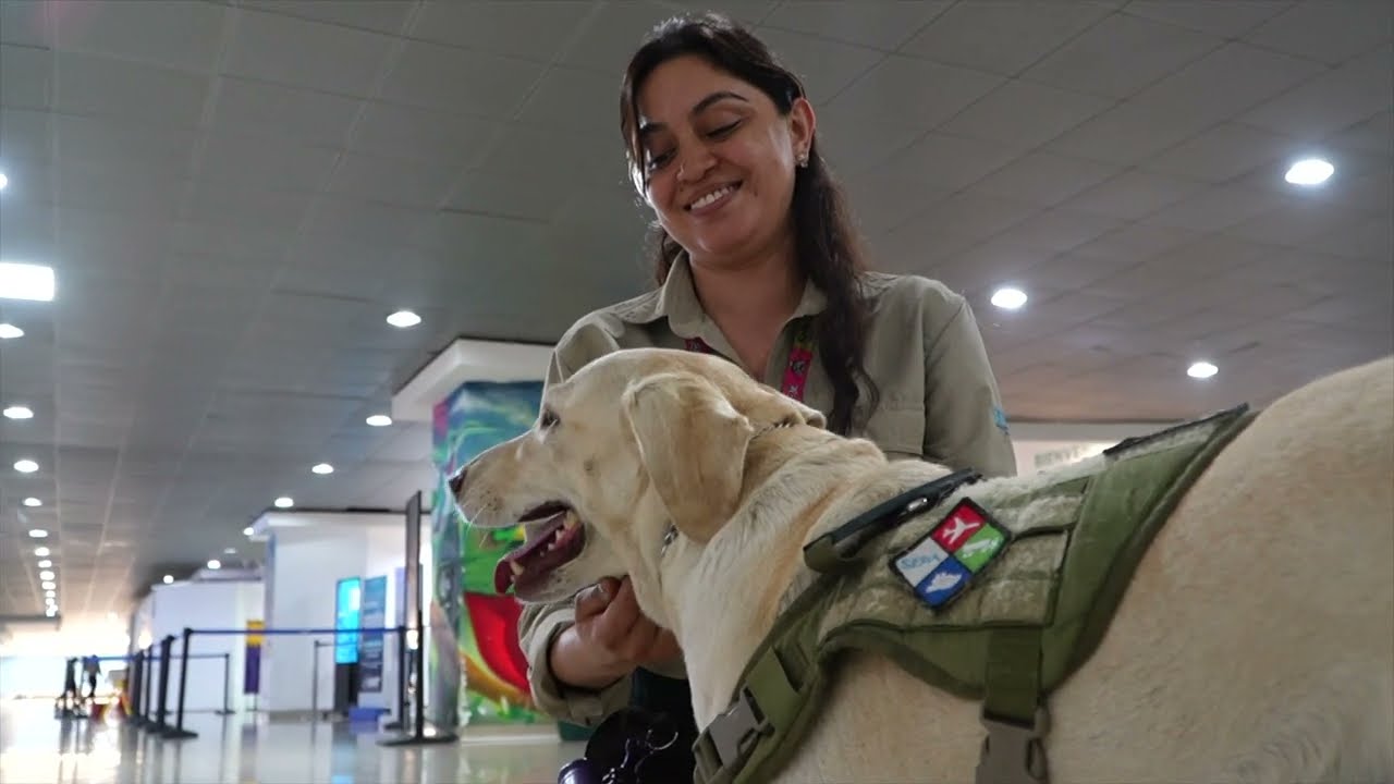 Unidades Caninas de Guatemala