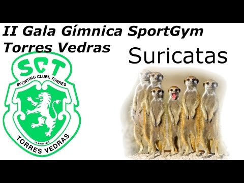 2ª Edição SportGym Sporting Clube de Torres - CDESMT Suricatas