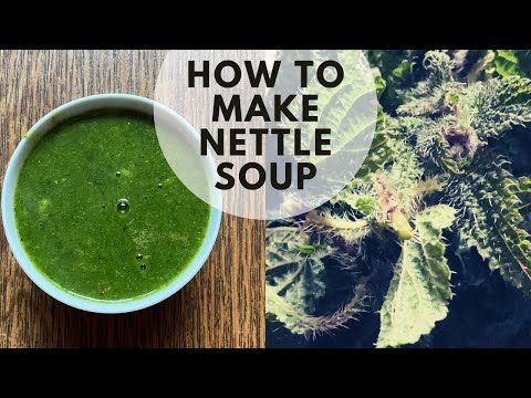 HOW TO MAKE NETTLE SOUP | NETTLE SOUP RECIPE | TYPICAL NEPALI FOOD | TASTY SOUP | NEPAL