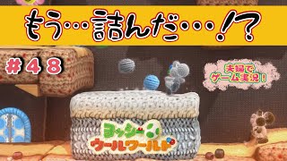 【夫婦実況】#48 あみぐるみ夫婦ヨッシーがコンプリートを目指す！！【実況プレイ】