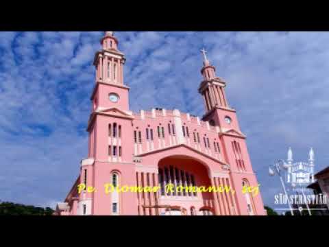 Palavra do dia 31 12 2018 Pe Diomar Romaniv, scj