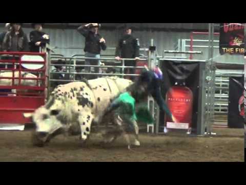 Brady Portneir on Chicken Dance