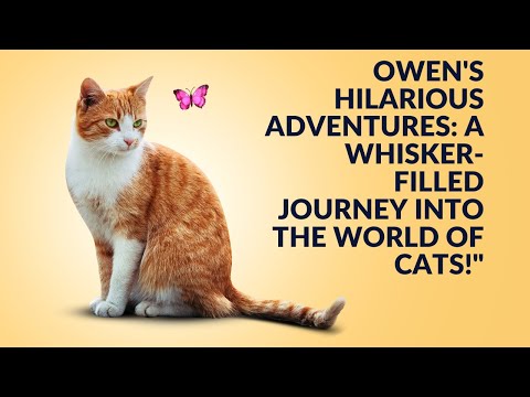 "Owen's Hilarious Adventures: A Whisker-Filled Journey into the World of Cats!"