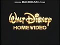 Walt Disney Home Video Logo 1993 1998 Long Version With Standard Music