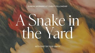 A SNAKE IN THE YARD | PASTOR TODD SMITH | 09.14.25