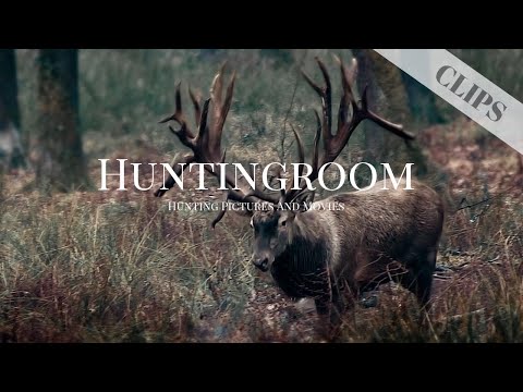 Monster Hirsch in Österreich - HUNTINGROOM Clips #1