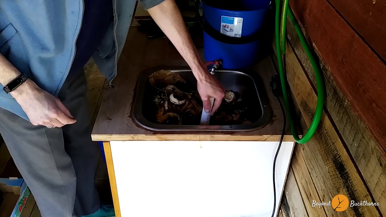 Feeding the dragon - DIY Biogas system