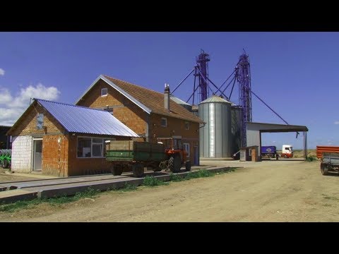 download lagu mp3 mp4 Silosi, download lagu Silosi gratis, unduh video klip Silosi