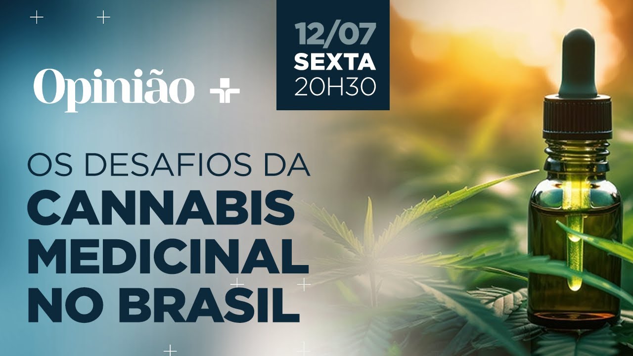 Opinião | Os desafios da cannabis medicinal no Brasil | 12/07/2024