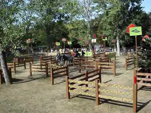 WM Kecskemet HUN 09 Beat Auer SUI H2