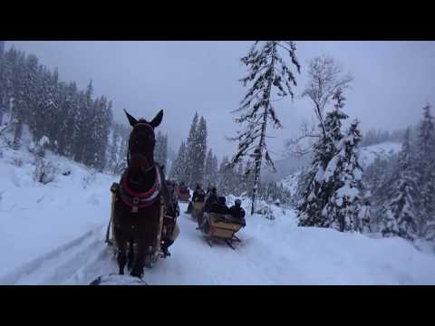 download lagu mp3 mp4 Kulig Dolina Kocieliska, download lagu Kulig Dolina Kocieliska gratis, unduh video klip Kulig Dolina Kocieliska