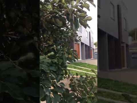 Sobrado com 2 quartos, 69,00m², à venda a partir de R$ 450.000,00 no Portal da Serra - Dois Irmãos