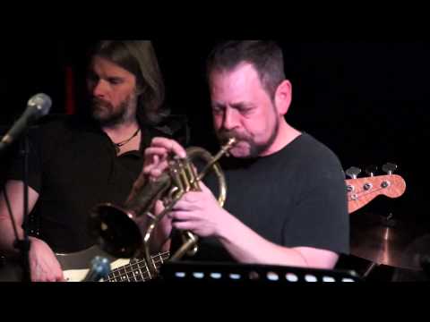 Thumbnail for Carl Hudson Groove Night - Hummingbird (Zoology For Martians) by Nick Van Gelder
