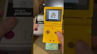 The Flaw With The Game Boy Printer