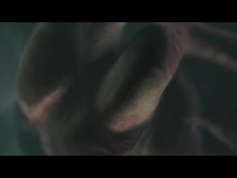 Resident Evil™_ REmake - Laboratori / pt.41