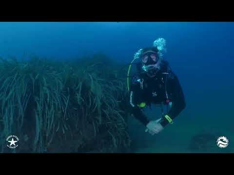 CABO SAN ANTONIO (Reserva marina no restringida)