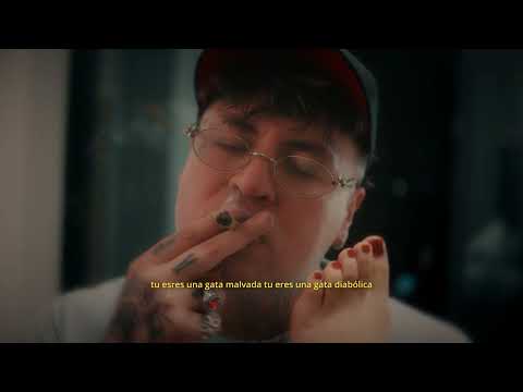 BANG VERSUS DMG - GATA MALVADA