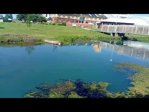 En termas de Villa Elisa, Entre Ríos 