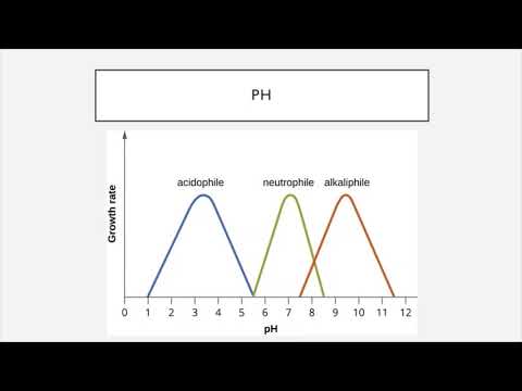 BIO 205 - Chapter 9 - Microbial Growth