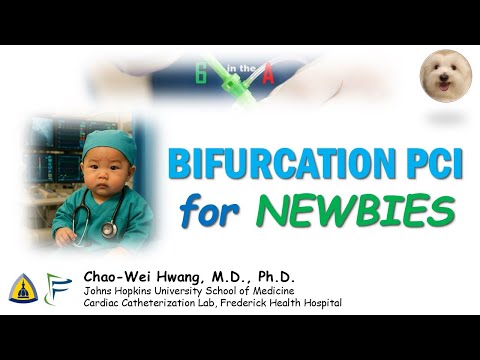 Bifurcation Stenting for Newbies