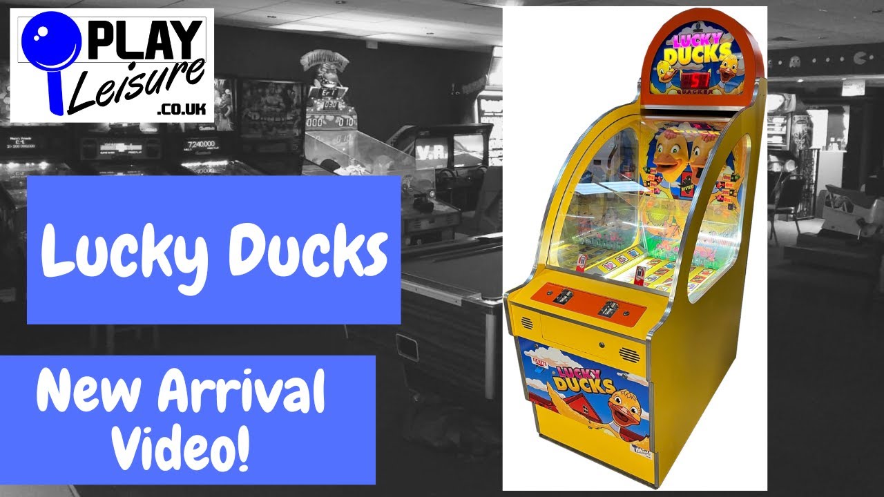 Aim for the mouth! It's the Lucky Ducks Ticket Arcade Machine...