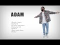 ADAM ВСЕ ПЕСНИ Cборник лучших хитов Adam Zhurek Newmusic