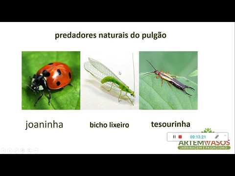 Controle pragas parte 1