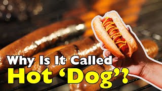 Why Is It Called a 'Hot Dog'?