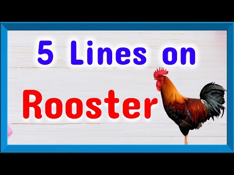 5 lines about Rooster (cock), few sentences about rooster (cock), Anjana Talent Classes