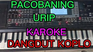 Download lagu PACOBANING URIP KAROKE DANGDUT KOPLO mp3 Download lagu PACOBANING URIP KAROKE DANGDUT KOPLO mp3
