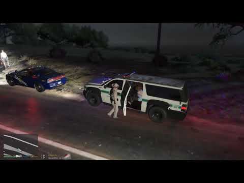 LSPDFR EP3, ANPR Hit