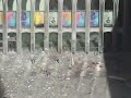 September 11 Horror At The WTC Plaza