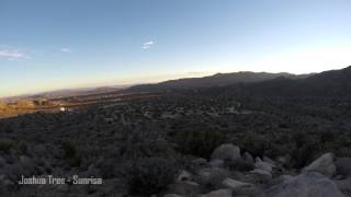 preview picture of video 'Joshua Tree - Timelapse - Sunrise'
