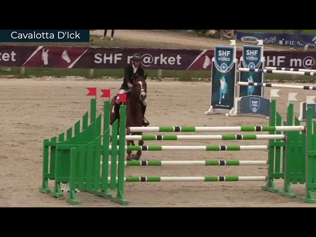 Souche / Strain Pialotta