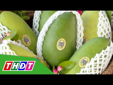 Nhiều hàng Việt được người Hàn Quốc ưa chuộng | THDT