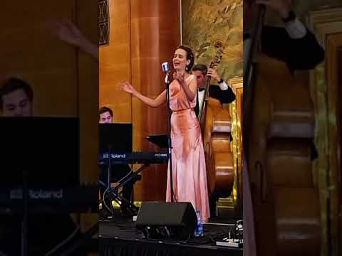 Promotional video thumbnail 6 for Ashley Anne and The Carnations