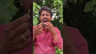 Download lagu panti noppi kosam ayurvedic chettu Giri Telugu YouTube mp3