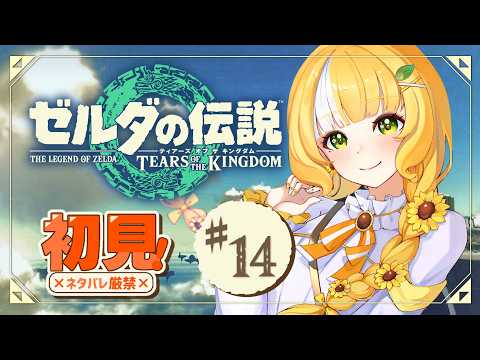 始まりの大地をクリアしたい❣️今日も元気に😎【ゼルダの伝説】 Part14 ※ネタバレ厳禁