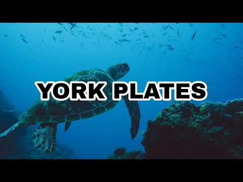 I believe - Dj Zinnox 2022