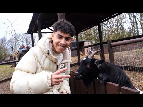 YXNG DAVE AT THE ZOO - KSI, JAKE PAUL, MUSIC