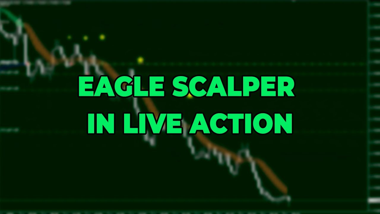 Watch Eagle Scalper In Live Action!