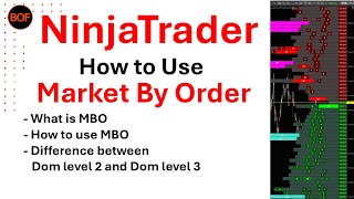 Tutorial Market By Order MBO indicator on NinjaTrader Tutorial https://bestorderflow.com/