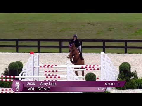 VDL Ironic video 4