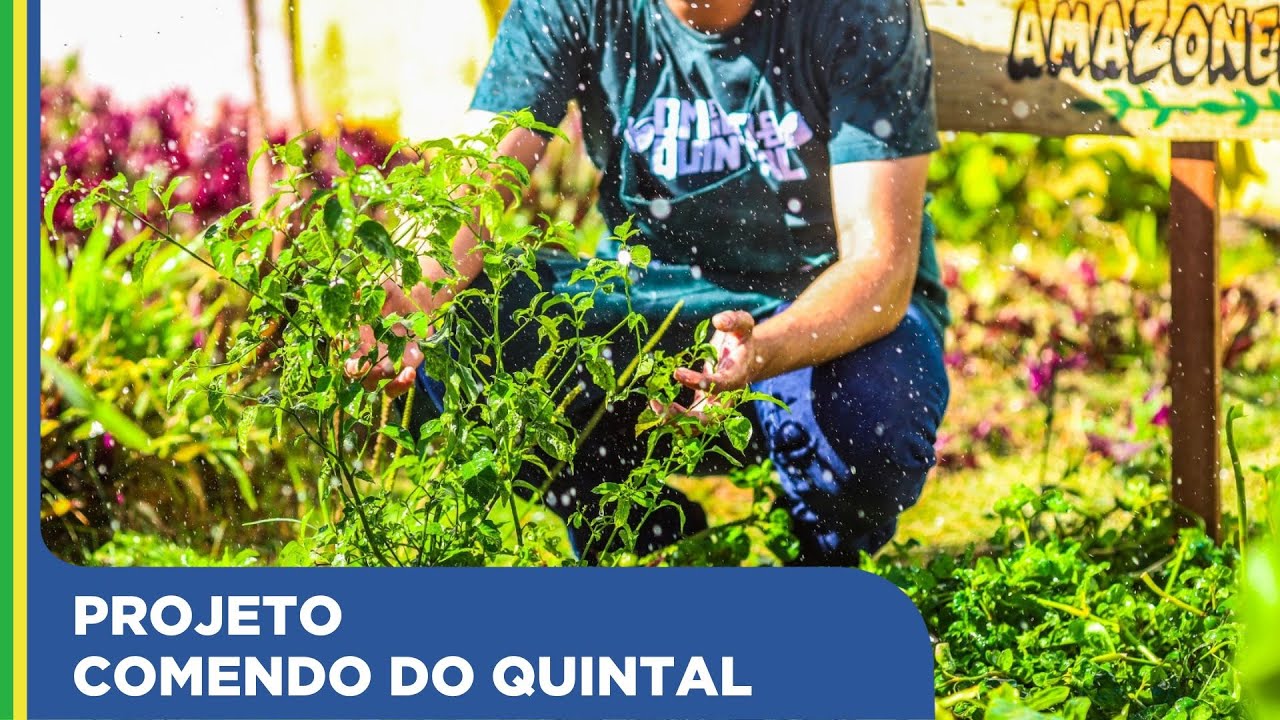 Comendo do Quintal - Projeto com jovens socioeducandos de Itaberaí