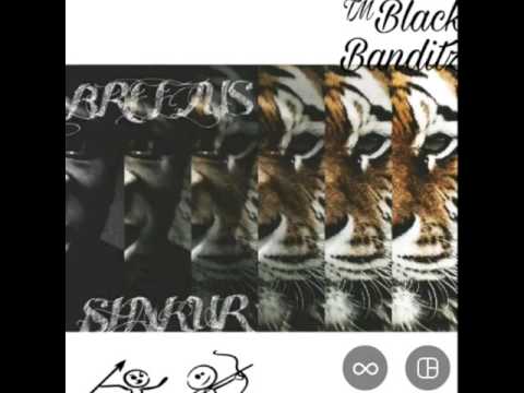 Kodak Black No Flocking Remix Breezus Shakur